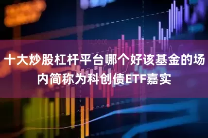 十大炒股杠杆平台哪个好该基金的场内简称为科创债ETF嘉实