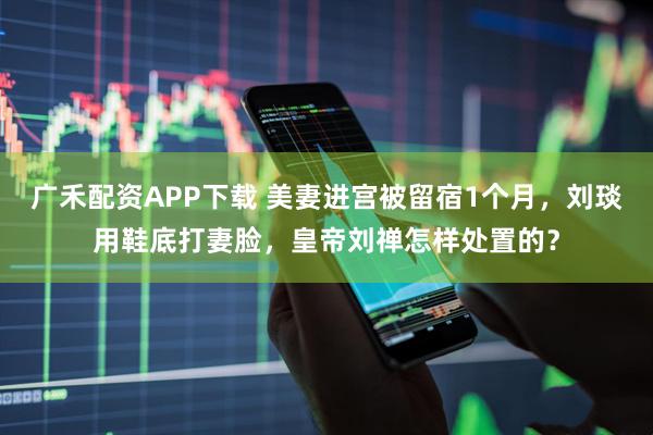 广禾配资APP下载 美妻进宫被留宿1个月，刘琰用鞋底打妻脸，皇帝刘禅怎样处置的？